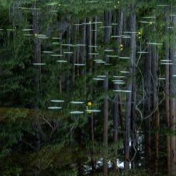 Claes Grundsten - "Stora Trehörningen, Tiveden"